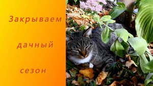 Пора закрывать дачный сезон