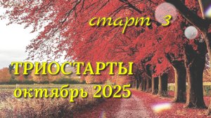 Игрушки из плюшевой пряжи зелёного цвета. Старт 3 в СП Триостарты октября
