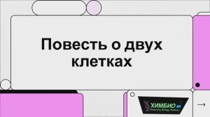 Клетка - это город. Сравнение прокариотической и эукариотической клетки.