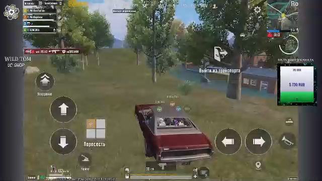 LIVE: WildTom_YouTube