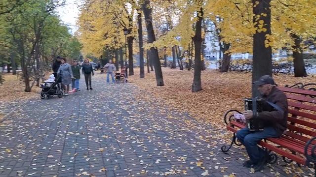 На Венце сегодня уютно. Последние погожие часы
