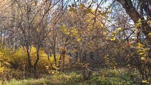 Исчезающий посёлок 😞Светлый