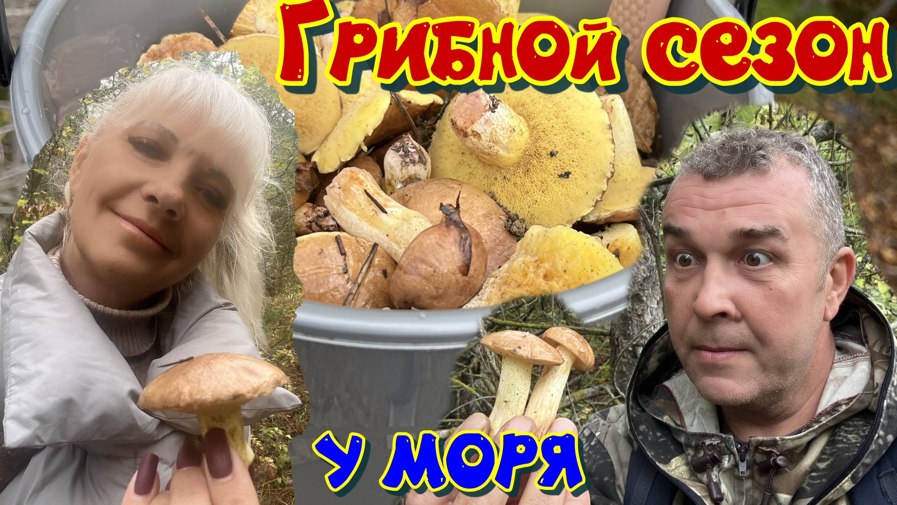 Грибной сезон в Краснодарском крае, собираем маслят