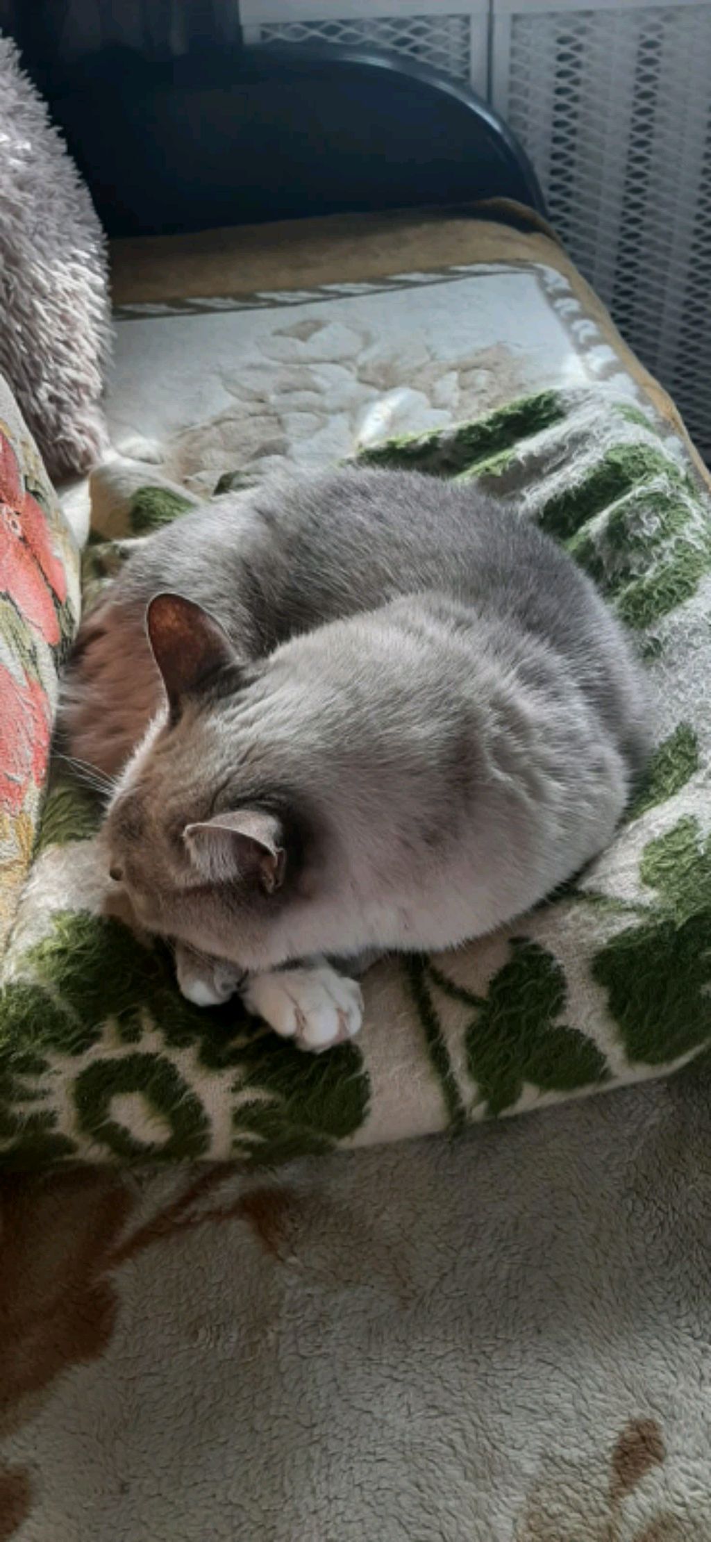 хех