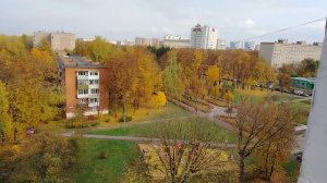 Жёлтая листва.