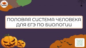ВЕБИНАР ПО ПОЛОВОЙ СИСТЕМЕ ЧЕЛОВЕКА ДЛЯ ЕГЭ ПО БИОЛОГИИ 2026 (ТЕОРИЯ+ПРАКТИКА)