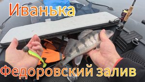 Первый раз на Иваньковском водохранилище. Рыба капризная