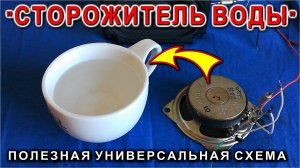 Электроника как наука "Водный сторож". Уникальная простая схема автора радиолюбителя из Приморья