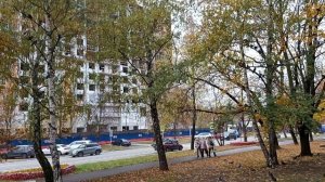 Кормление птиц запрещено в Перово (11.10.2025)