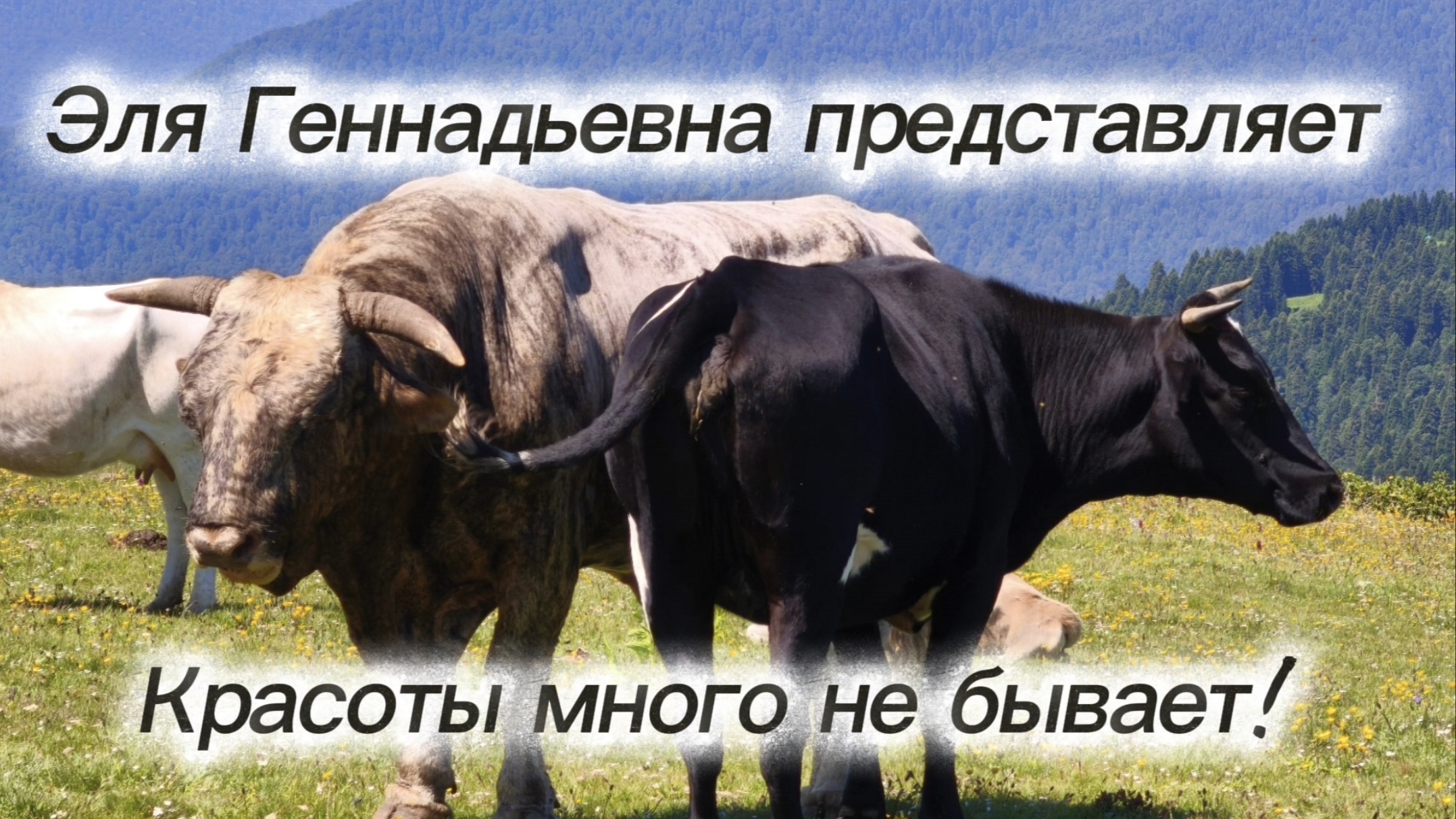 Каникулы выше облаков! ☁️ #элягеннадьевна #отдыхсребенком #ураканикулы #краснаяполяна