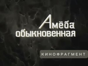 Амёба обыкновенная  (Переделанный Научфильм. Учебное видео СССР)