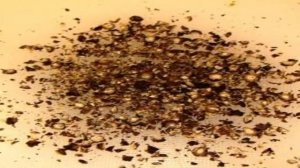 Курица в кинзе