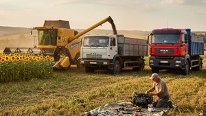 🛠 ПОЛОМКА В ПОЛЕ... Что лучше КАМАЗ или MAN? 🌻 Уборка урожая 2025... Зерновоз на Кубани