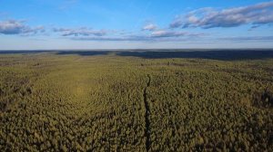 Человека в лесу сверху не видно. Жгите костер, вас найдут.