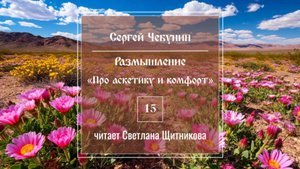 Размышление 15 (автор Сергей Чебунин, читает Светлана Щитникова)