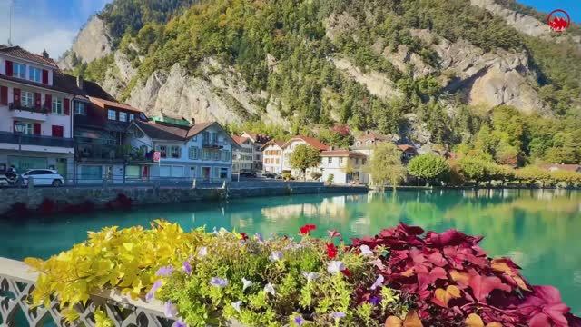 В Швейцарском городе Интерлакен наступила Золотая Осень🇨🇭🍁Пешеходные Экскурсии по Швейцарии