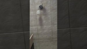 Реборн Илона