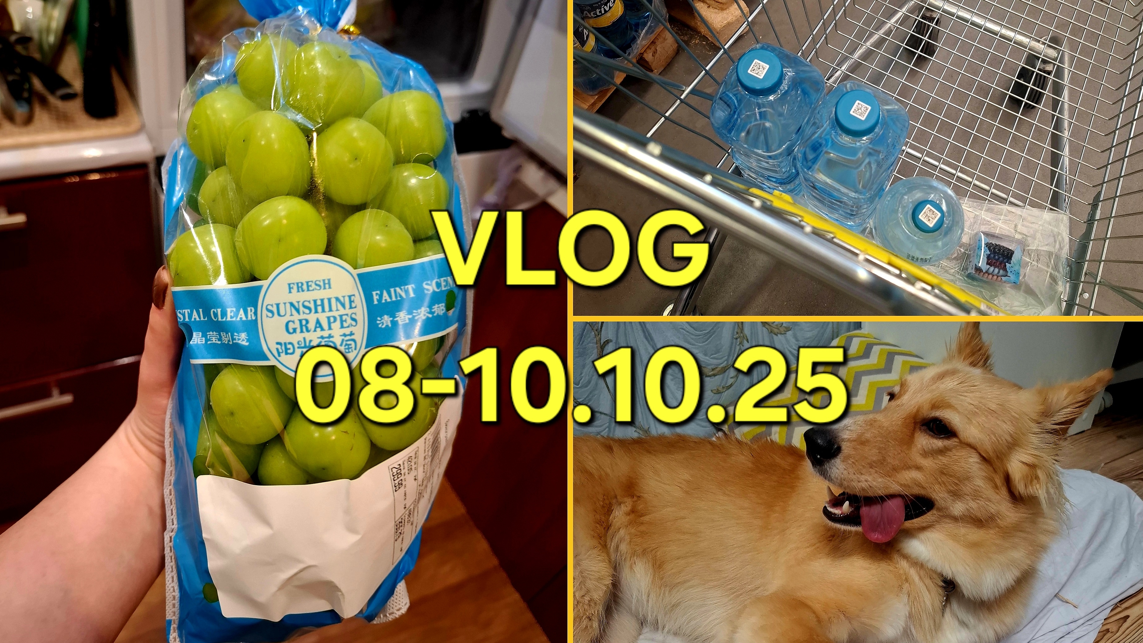 VLOG 08-10.10.25: ПЕРВОЕ ВИДЕО ДЛЯ РУТУБ/ЧТО С ЮТУБОМ?/МОЙ ЛЮБИМЫЙ ВИНГРАД/ДУРДОМ НА РАБОТЕ