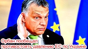 Новоти Сегодня 11.10.2025