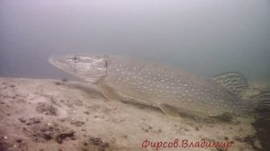 В городе по кайфу.