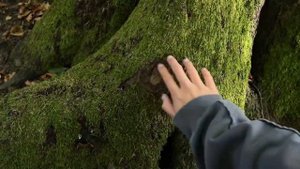 ASMR｜Гуляем с Тобой по Осеннему Лесу. GHOSTGIRL-asmr