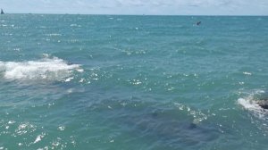 Сочи. Просто красивое Черное море