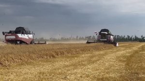 12-10-2025 г. С Днем работника сельского хозяйства и перерабатывающей промышленности!