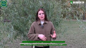 Высадка растений в Парке Берег 10.10.25