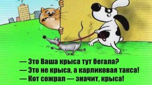 Смешные анекдоты в картинках 2021