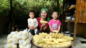 Harvest persimmons with the children to sell at the market - take care of chickens and ducklings.
