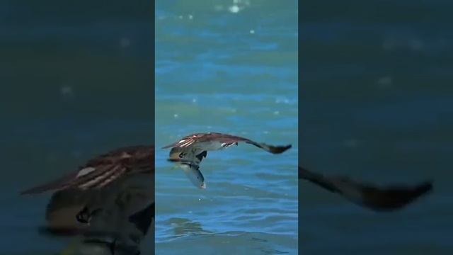 Автор неизвестен. Мне по крайней мере. смотреть онлайн