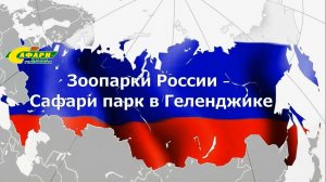 Сафари парк, Геленджик
