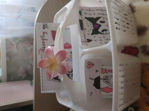 Делаю заказы бумажных сюрпризов. # Заказывать можно платно, бесплатно, подарком . 🎀🌸🌷люблю вас.