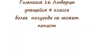 ГИМНАЗИЯ 16 г Люберцы