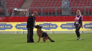 69 Отл. XUSI v. Tronje №2128. BZSZ 2025 немецких овчарок