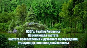 Музыка для просветления -936 Герц
Частота просветления и духовного пробуждения, стимуляция шишков