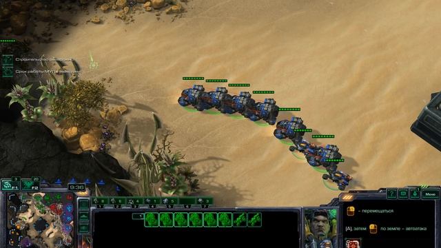 StarCraft 2 Еженедельный командный старик #60 p11 #starcraft2 #starcraft