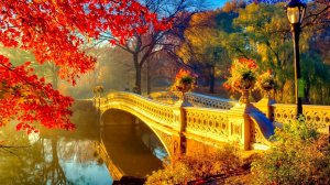 PTE AV Studio. Золотая Осень 2025