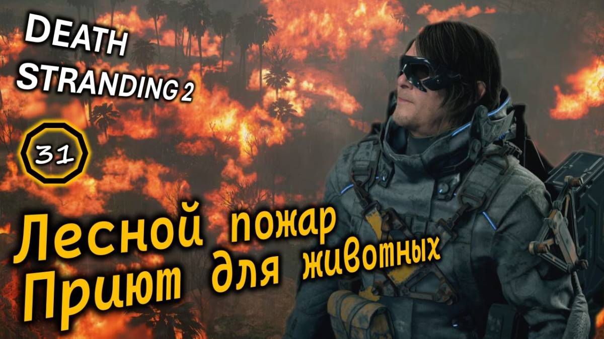 DEATH STRANDING 2 | Спасение кенгуру | Приют для животных | Заказ #15