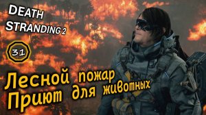 DEATH STRANDING 2 | Спасение кенгуру | Приют для животных | Заказ #15