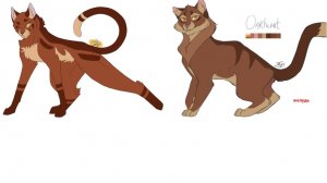 сравнения двух видов рт от M.jay