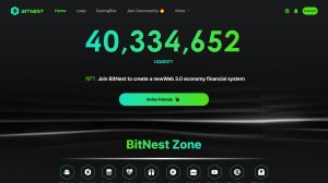 ⚠️ Битнест обзор: как работает проект и почему вокруг него столько споров