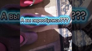 шутки минутки