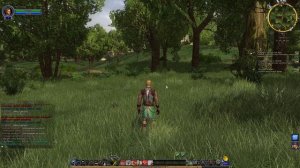 The Lord of the Rings Online, запись стрима. Часть 1.