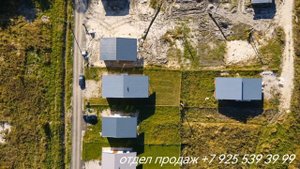 petal_20251004_230104.mp4