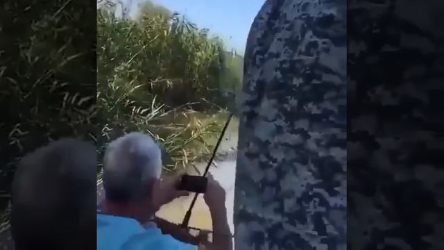 Клип @zatropheem