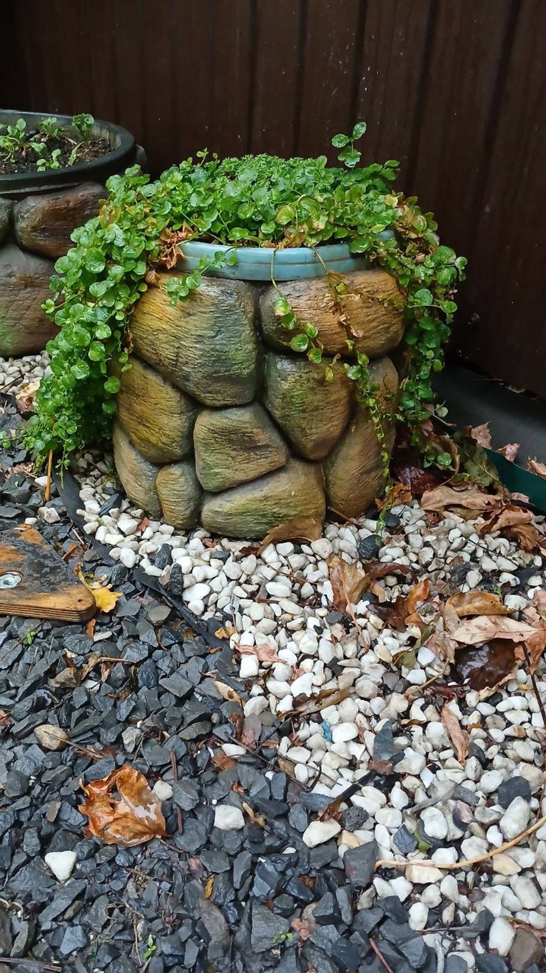 скульптура на  даче из  арт бетона мастер Макс г Ростов