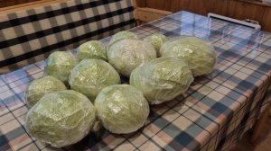 video_2025-10-12_09-17-06