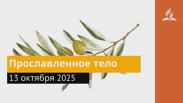 13 октября 2025. Прославленное тело. Под сенью благодати