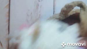 отчёт по с.п. ,,Вяжем играя 🧶,, 13 тур финиш